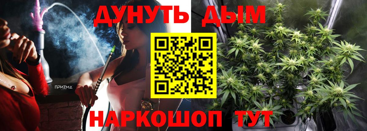 Конопля THC 21%  МАРИХУАНА SATIVA & INDICA  Краснознаменск  Каннабис сатива  Вход с VPN 